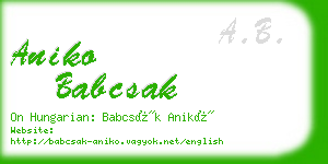 aniko babcsak business card